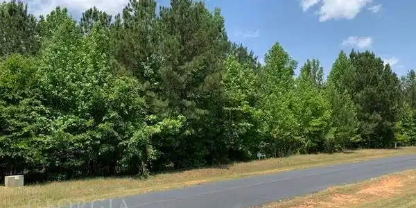 0 South Pointe Court (Lot 40 Pointe South)