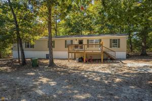 223 Pierce Brown Road