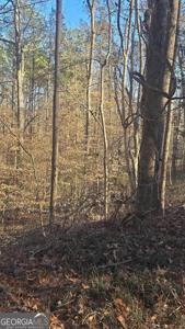 4440 Susans Way, Snellville GA 30039