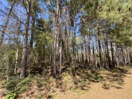 LOT 30 Lost Valley Drive