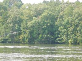 0 Pineywoods Drive