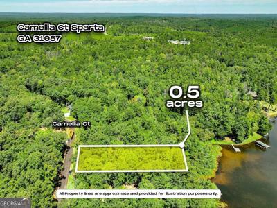 Lot 12 Camellia Court, Sparta GA 31087