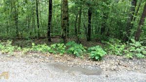 Lot Tract 2 Sutton Rd