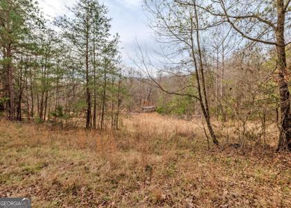 Lot 5B & 6, Lavonia GA 30553 Andrews Subdivision