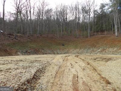 #2 Sunnyside Road (Highway 288), Hiawassee GA 30546