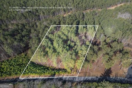 Lot 74 Thirteen Hundred, Blairsville GA 30512