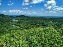 8256 Cox Mountain