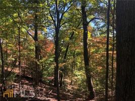 3343 Wildcat Trail