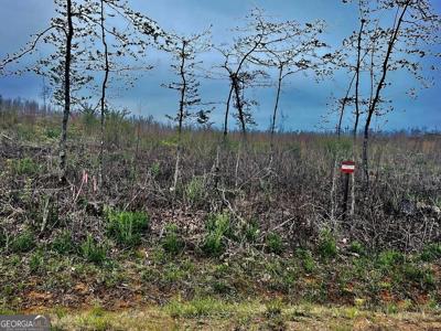 TRACT B Co Rd 123, Wedowee AL 36278