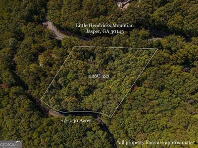Little Hendricks Mountain Road, Jasper GA 30143