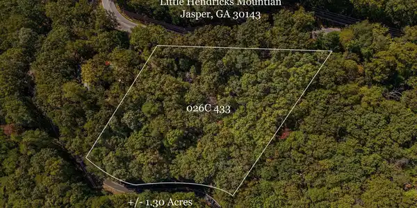 Little Hendricks Mountain Road, Jasper GA 30143