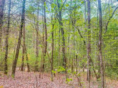 0 Issi Road Lot 911