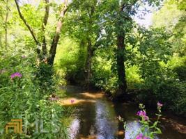 LOT 34 Bell Creek Estates