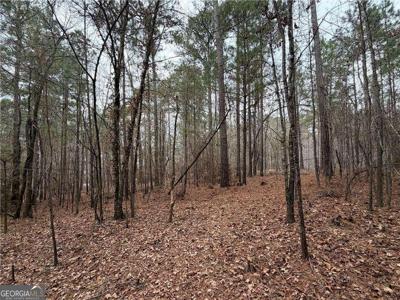 1700 Northwoods Drive, Greensboro GA 30642