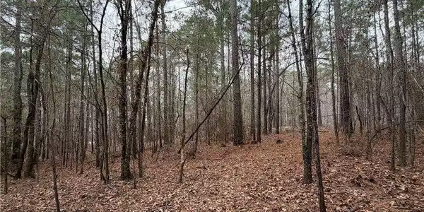 1700 Northwoods Drive, Greensboro GA 30642