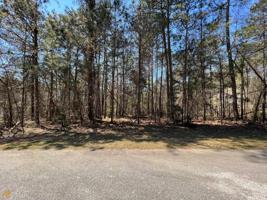 2030 Pine Forest Trail