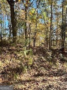 1 Hillshore Court, Lavonia GA 30553
