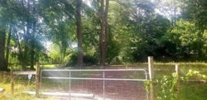 485 Lakeshore Drive
