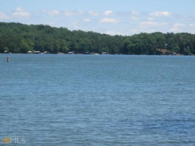 Lot 11 Riverbend Road, Lavonia GA 30553