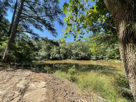 482 TRACT A Scott Mill Road