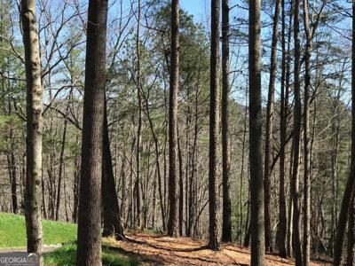 0 Carters View Drive