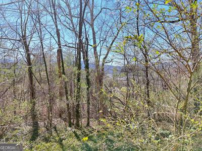 631 McRidge Road, Hiawassee GA 30546