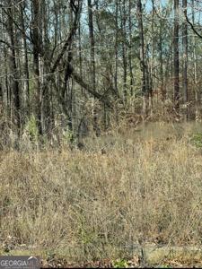Lot 257 Tamarack Drive, Jasper GA 30143