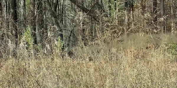 Lot 257 Tamarack Drive, Jasper GA 30143