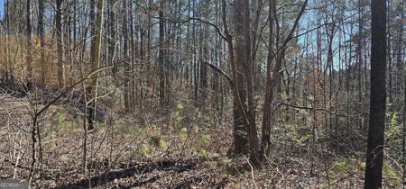 30 & 48 Dogwood Trail, Martin GA 30557