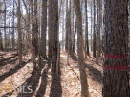 116 View Pointe Dr