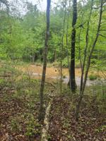 0 Crooked Creek Bay Rd Se, Eatonton, Ga Roads
