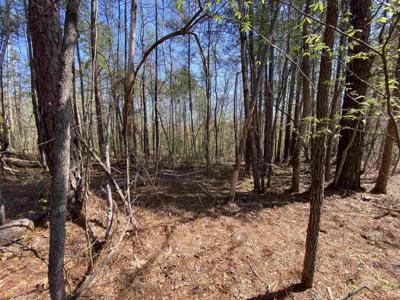 Lot 3 Peach Blossom, Sparta GA 31087