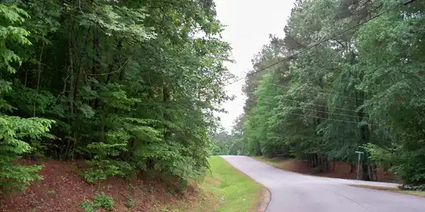 1390 Northwoods Drive, Greensboro GA 30642