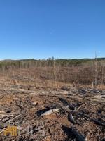 0 County Road 803