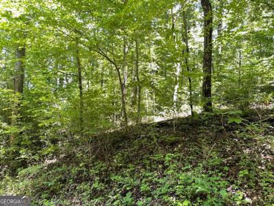 Lot 11 Fodder Creek Mill Drive, Hiawassee GA 30546