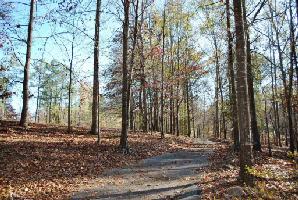 121 121 Dogwood Ct Lot 14