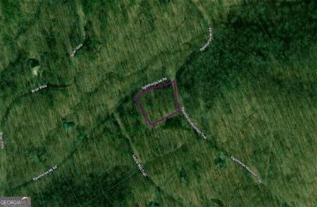 Lot 1409 Oglethorpe Mountain Road, Jasper GA 30143