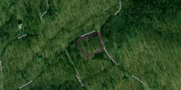 Lot 1409 Oglethorpe Mountain Road, Jasper GA 30143