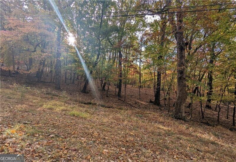 Image 4: Looking east across the property
