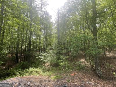 10017 Holly Court, Villa Rica GA 30180