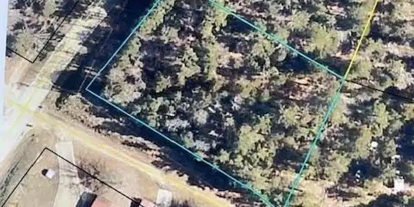 2807, 3949 Cooter Creek Rd