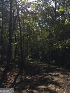 3746 Leach Road, Gainesville GA 30506