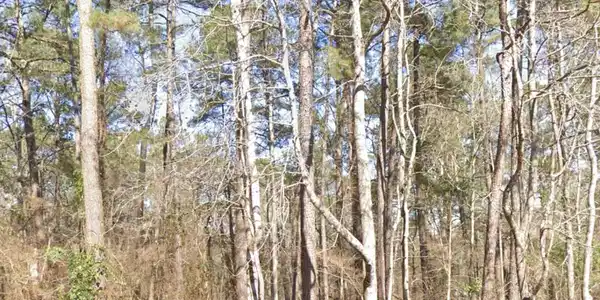 Lot 257 Tamarack Drive, Jasper GA 30143