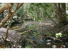 Lot 188 Lower Burris Rd