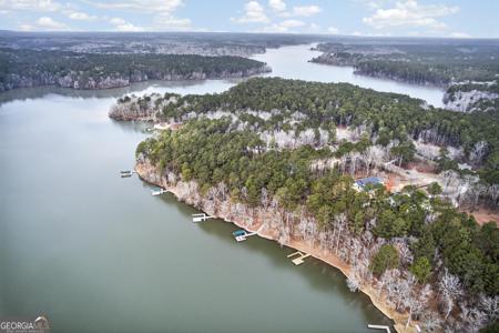 1100 Forest Heights, Greensboro GA 30642