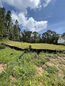 139 Wolf Creek Cove