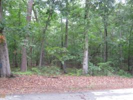 11  Trout Drive Rd Lot 11