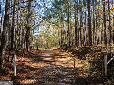 69.98 ACRES Saxon Mattox Road, Carlton GA 30627