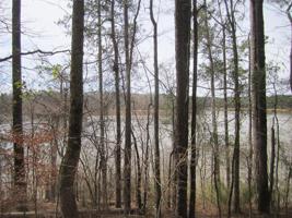 0 Leisure Cove Drive