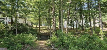 1212 N Edgewater Trail, Toccoa GA 30577